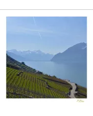 Cartes Lavaux C15 - 1270-40