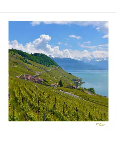 Cartes Lavaux C15 - 1340-41