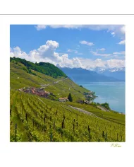 Cartes Lavaux C15 - 1340-41