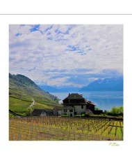 Cartes Lavaux C15 - 1340-41