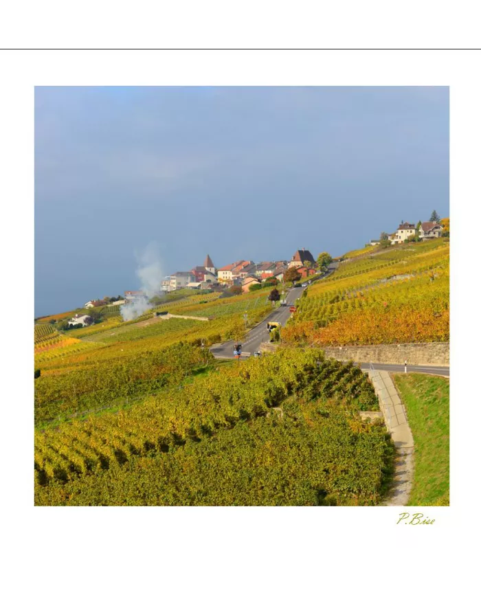 Cartes Lavaux C15 - 3962-42