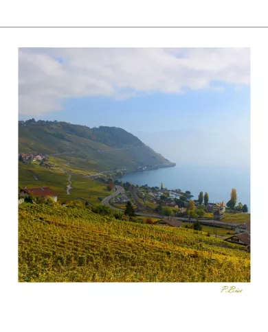 Cartes Lavaux C15 - 4106-42