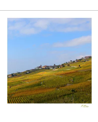 Cartes Lavaux C15 - 4108-42