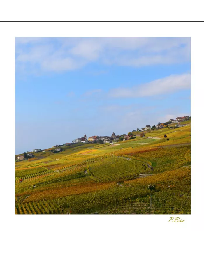 Cartes Lavaux C15 - 4108-42