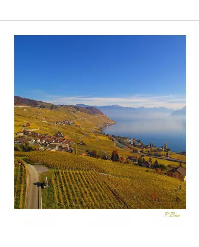 Cartes Lavaux C15 - 4235-42