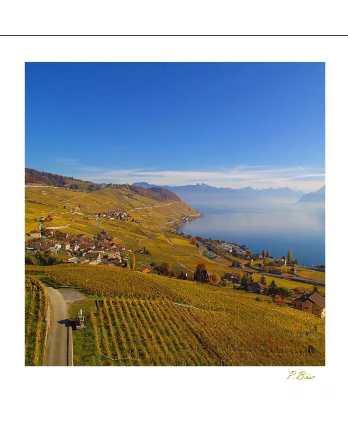 Cartes Lavaux C15 - 4235-42