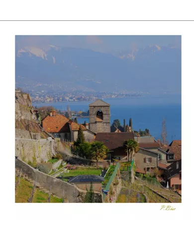 Cartes Lavaux C15 - 5028-40