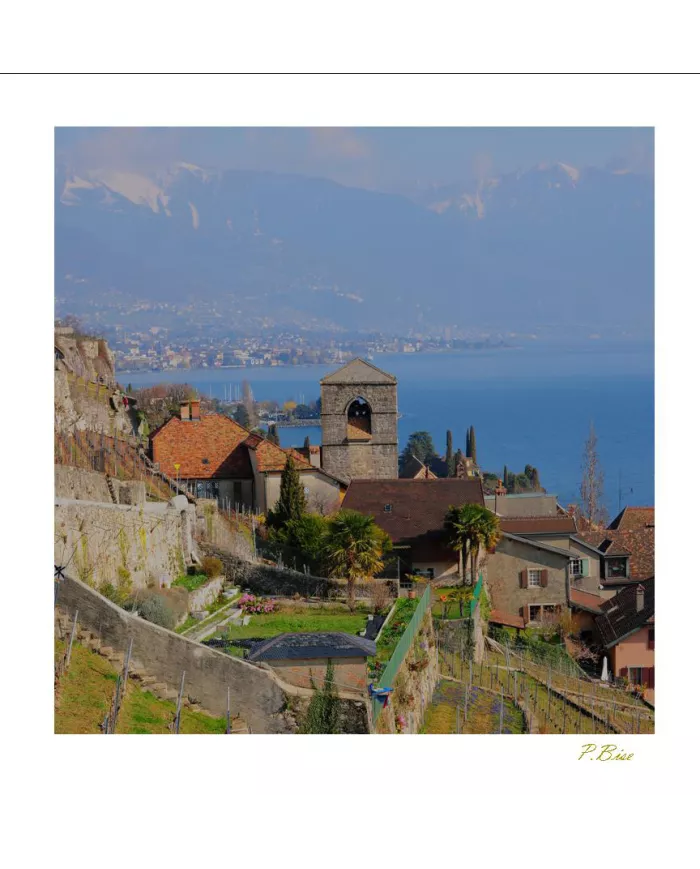 Cartes Lavaux C15 - 5028-40