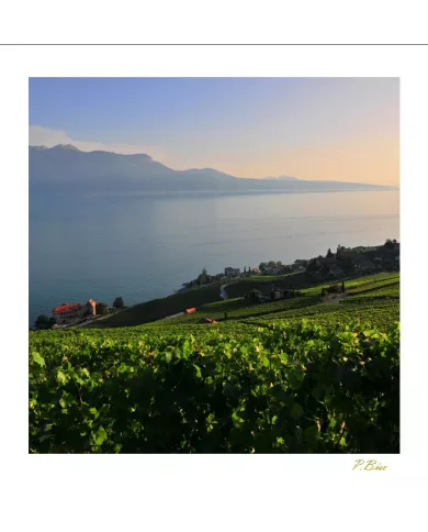Cartes Lavaux C15 - 9379-41