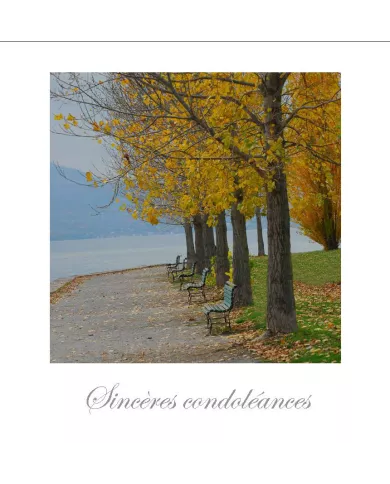 Cartes Condoléances Ambiances - 370-001