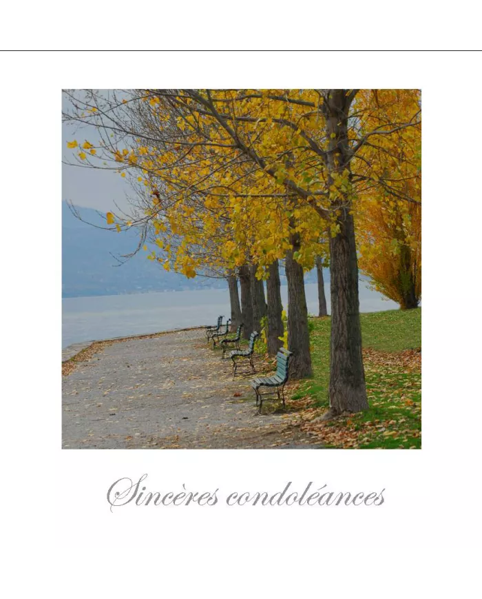 Cartes Condoléances Ambiances - 370-001