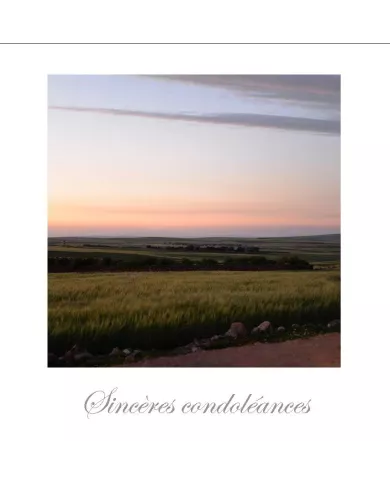 Cartes Condoléances Ambiances - 2798-001