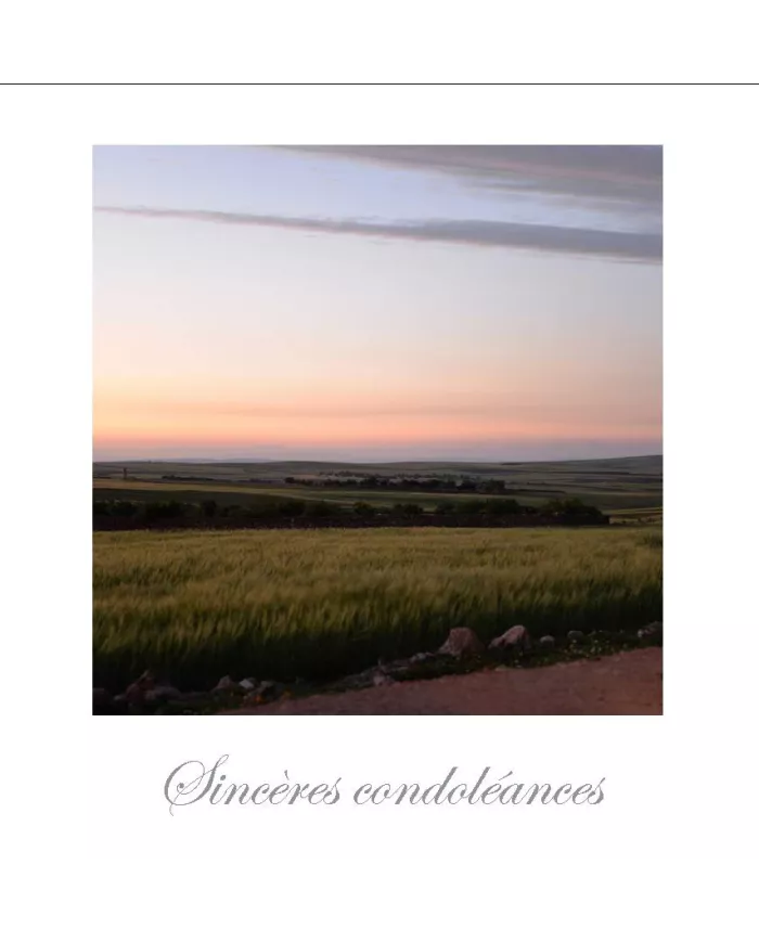 Cartes Condoléances Ambiances - 2798-001