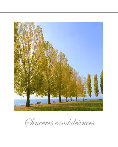 Cartes Condoléances Ambiances - 4067-001