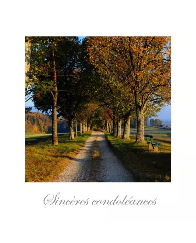 Cartes Condoléances Ambiances - 4484-001