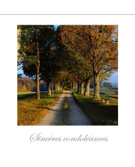 Cartes Condoléances Ambiances - 4489-001