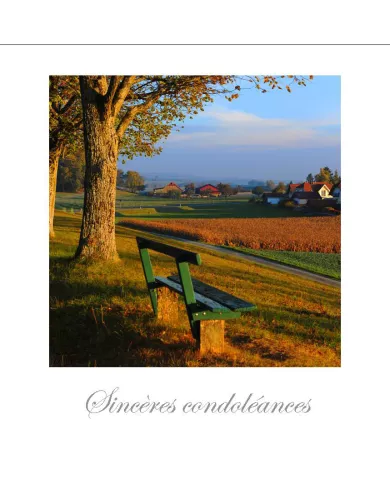 Cartes Condoléances Ambiances - 4489-001