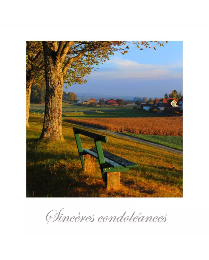 Cartes Condoléances Ambiances - 4489-001