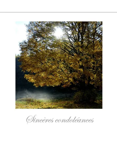 Cartes Condoléances Ambiances - 50-001