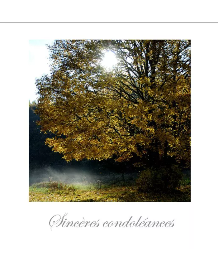 Cartes Condoléances Ambiances - 50-001