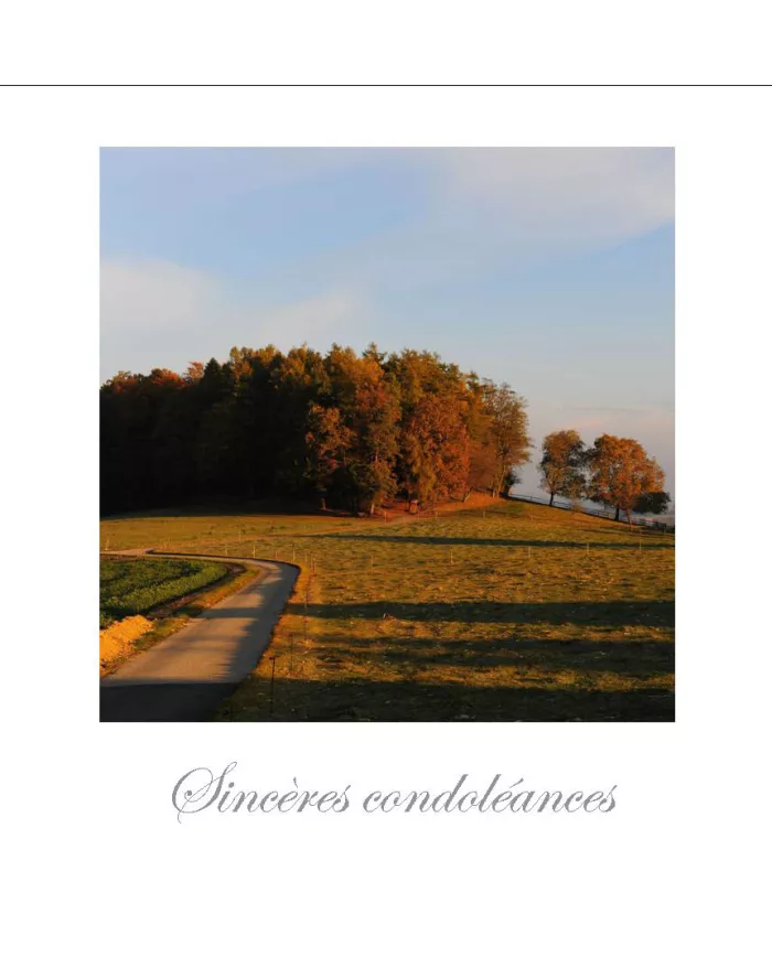 Cartes Condoléances Ambiances C15 - 4493-001