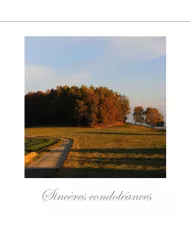 Cartes Condoléances Eaux - 29-002