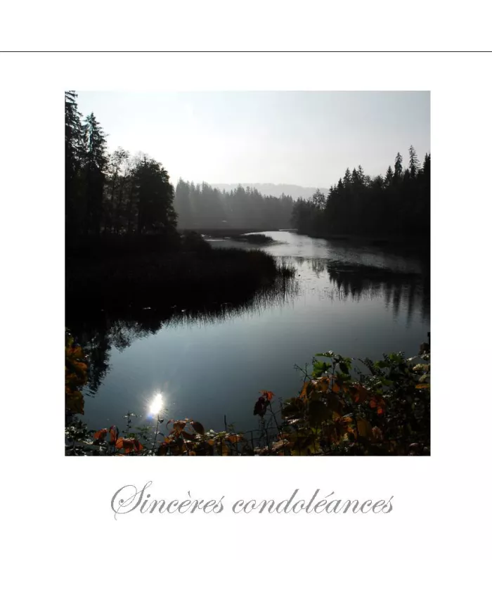 Cartes Condoléances Eaux - 78-002