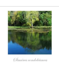 Cartes Condoléances Eaux - 140-002