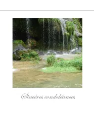 Cartes Condoléances Eaux - 429-002