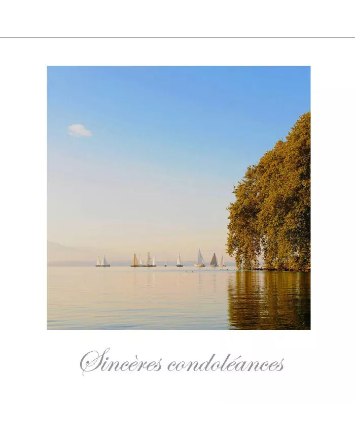 Cartes Condoléances Eaux - 3341-002