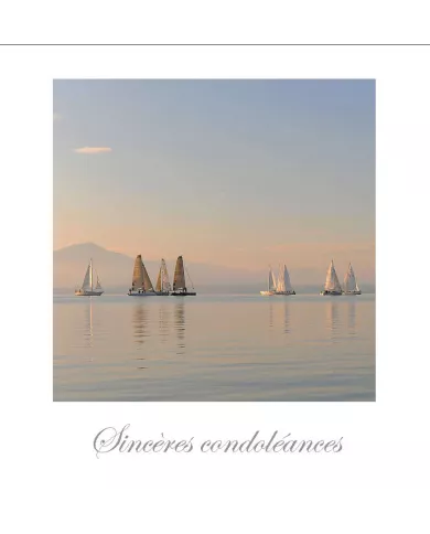 Cartes Condoléances Eaux - 3374-002