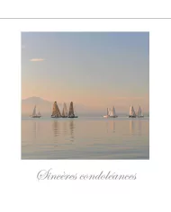 Cartes Condoléances Eaux - 3374-002