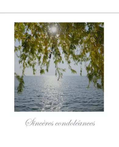Cartes Condoléances Eaux - 4038-002