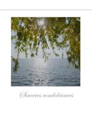 Cartes Condoléances Eaux - 4038-002