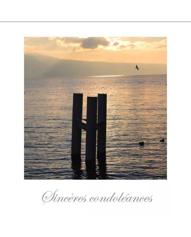 Cartes Condoléances Eaux - 4817-002