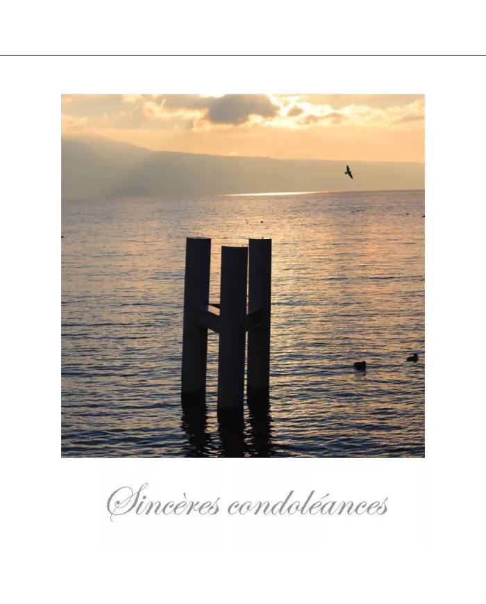 Cartes Condoléances Eaux - 4817-002