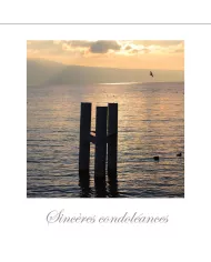 Cartes Condoléances Eaux - 4038-002