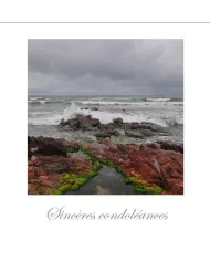 Cartes Condoléances Fleurs - 35-003