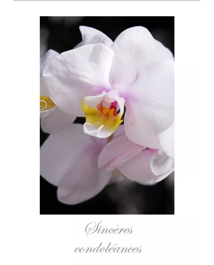 Cartes Condoléances Fleurs - 35-003