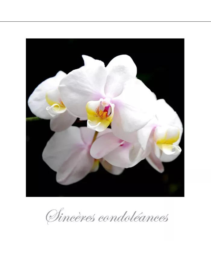 Cartes Condoléances Fleurs - 35-003