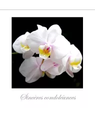 Cartes Condoléances Fleurs - 35-003