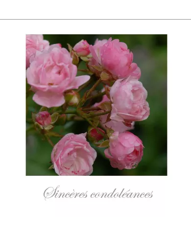Cartes Condoléances Fleurs - 144-003