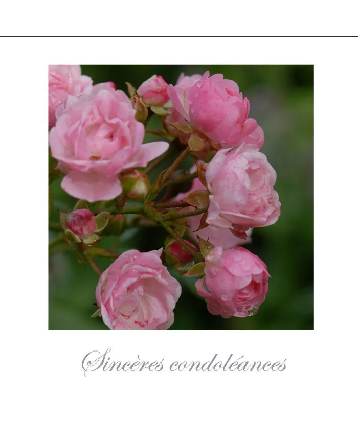 Cartes Condoléances Fleurs - 144-003