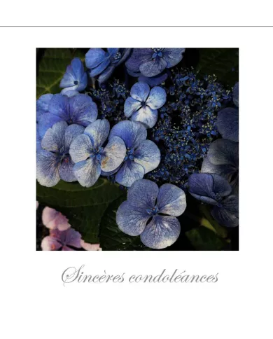 Cartes Condoléances Fleurs - 172-003