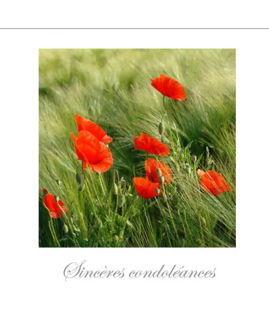 Cartes Condoléances Fleurs - 795-003