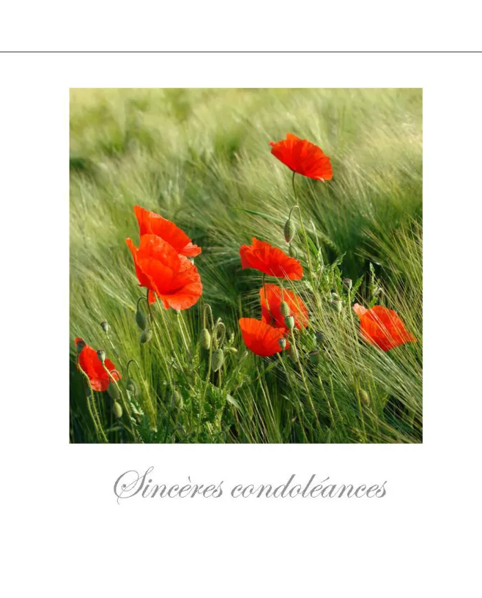 Cartes Condoléances Fleurs - 795-003