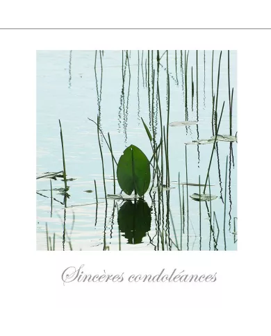 Cartes Condoléances Fleurs - 892-003