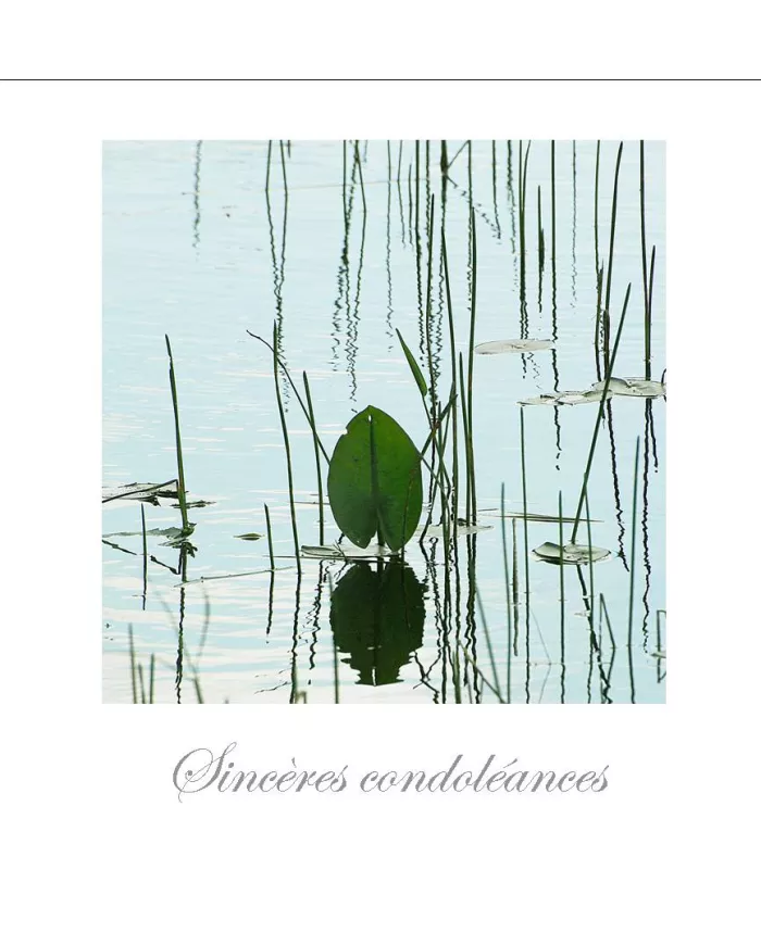 Cartes Condoléances Fleurs - 892-003