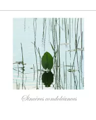 Cartes Condoléances Fleurs - 892-003