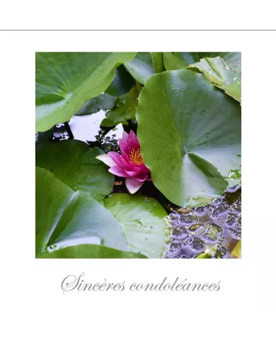 Cartes Condoléances Fleurs - 1460-003